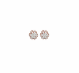 Diamond Flower Stud Earrings (.27 ctw) in 10K Rose/White Gold Crown