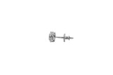 Diamond Cluster Stud Earrings (.31 ctw) in 10K White Gold